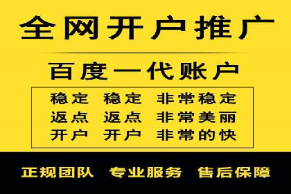 搜索引擎营销（SEM）在电商行业的投放策略案例
